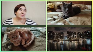 ПРО РЕМОНТ ДОМА, ЗАКАЗЫ С WB, КРАСИВЫЙ ВИД с ПЕШЕХОДНОГО МОСТА 50/2025