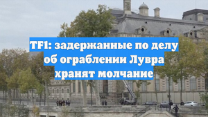 TF1: задержанные по делу об ограблении Лувра хранят молчание