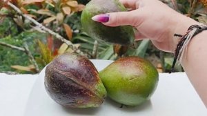 Как определить спелость авокадо по звуку?