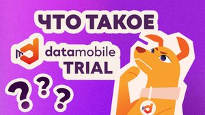 Что такое TRIAL-лицензия DataMobile и почему ей стоит воспользоваться?