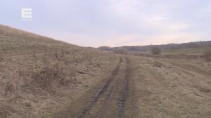 10-летний ребёнок погиб под Красноярском после нападения собак