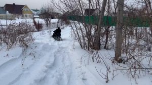 Поездка в лесной посадке
