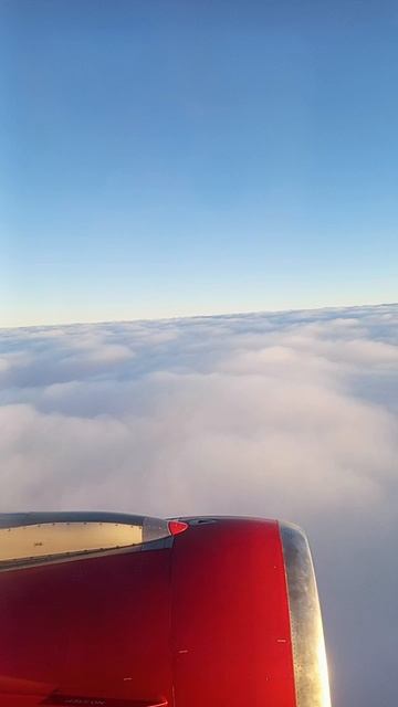 красота 🔥 смотреть онлайн