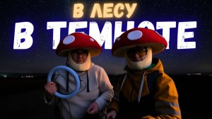 Как успеть собрать ГРИБЫ, если скоро НОЧЬ? Грибное ВЕЛОПРИКЛЮЧЕНИЕ