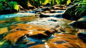 🌄 Успокаивающее течение реки погружает в Мирные Сны