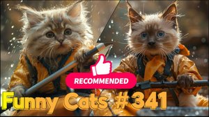 Смешные коты #341