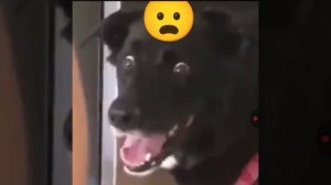 Елена и Максим