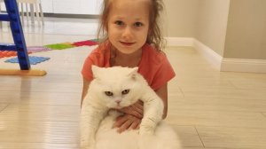 Милана и Зевс любовь .