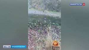 В Башкирии у пещеры Шульган-Таш заметили авиаводников