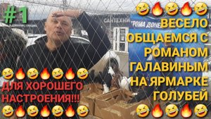 🤣🤣🤣 Для хорошего настроения! Весело общаемся  с Романом Галавиным "Донецким" на ярмарке голубей.
