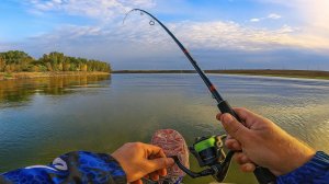 AWARAN ЛОВИТ ТОЛЬКО ЗАКИНЬ Рыбалка в Астрахани река Енотаевка