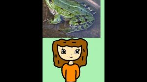 ,,Чем отличается лягушка от жабы “