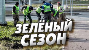 На бульваре Архитекторов продолжаются посадки деревьев и кустарников