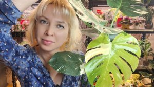 Разгоняем рост черенков с помощью фитильного полива