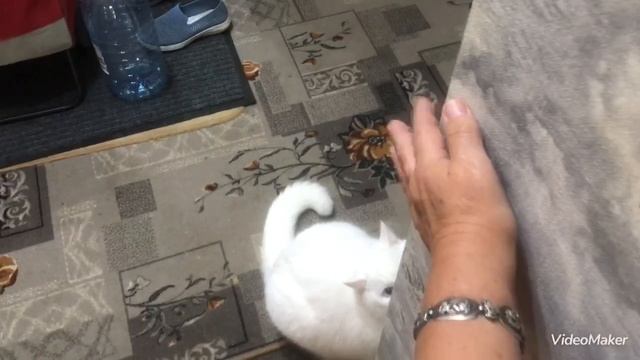 Кто кого тренирует?