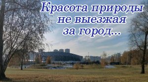 Парк "Арена" — единение с природой в сердце Новосибирска