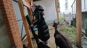 УСТАНАВЛИВАЕМ ЩЕТКУ | УБИРАЕМ ОПИЛКИ | ДИАГНОЗ МАРТЫ