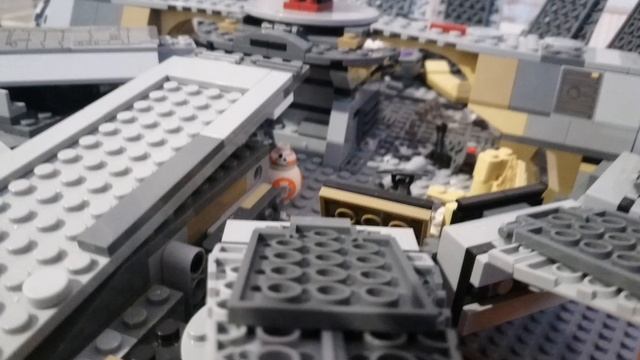 petal_20251027_091123.mp4