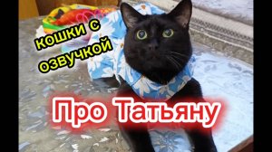Кошки с озвучкой.