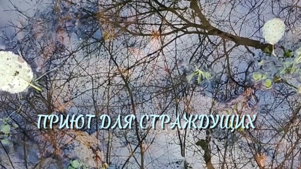 Стихотворение Приют для страждущих Автор: Дмитрий Ясенецкий. Читает автор.