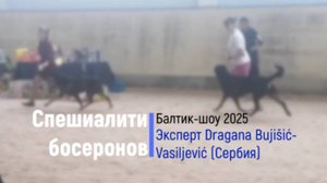 7 Суки, открытый