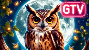 Gnom TV: "Узнай про то, что мы постоянно теряем!"
