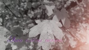 Это слёзы осени.