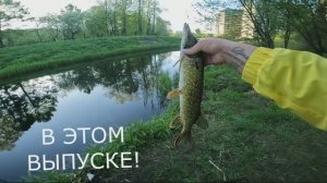 МОРМЫШИНГ БЕЛЬ И ХИЩНИК 😏