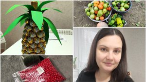 Огородный сезон ЗАКРЫТ!👩🌾 | АНАНАС🍍 | Спасибо за РЕЦЕПТ👩🍳