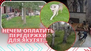 Мы на краю переломного периода. Будем жить или нет?!