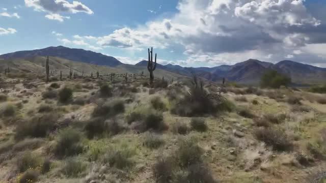 Easy смотреть онлайн