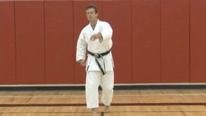 Intermediate Karate Kicks