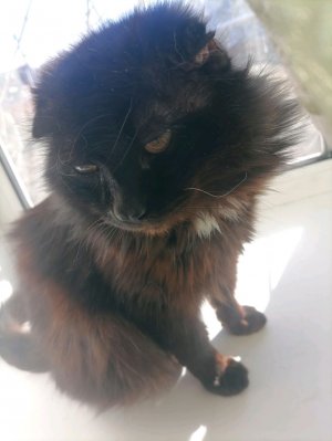 Понедельник день тяжелый