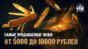 Лучшие EDC ножи 2025 – хиты продаж в магазине EDC у Тёмыча