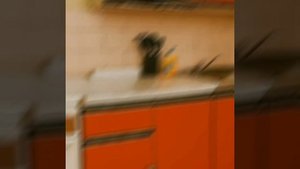 Снять квартиру посуточно. Москве на Каргопольская улица, 10. Метро: Отрадное.