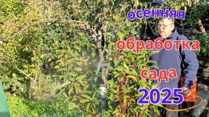 Чем обработать сад осенью от болезней.