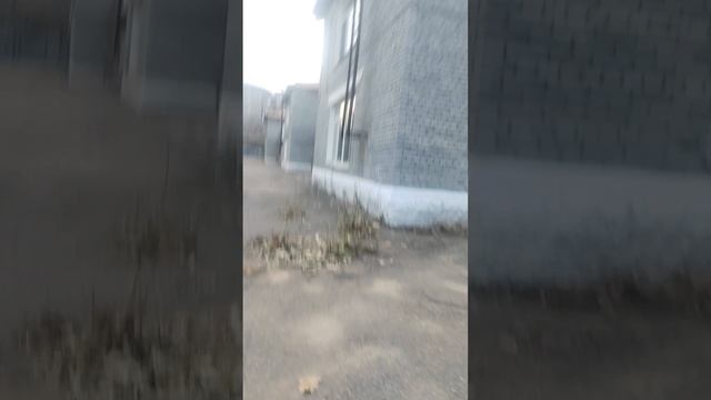 BACKROOMS Выживание #4