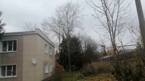 27.10.2025.16:30 Усадьба Парк Кино Ляхово. Парк Сибирских Кошек.Визитная карточка. Домодедово.Москов