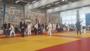 Соревнования по дзюдо проигрыш