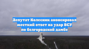 Депутат Колесник анонсировал жесткий ответ на удар ВСУ по белгородской дамбе