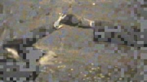 Д/ф деревня дети игра