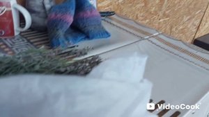 Наши 8,4 сотки🏡Успеть сделать, последние посадки на своем участке в октябре👍