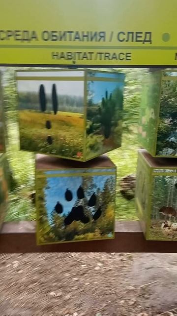 Скалы, в которых живёт магия Бажовские места: Свердловская область. г.Сысерть