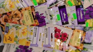 Посев Эустомы, из своих семян