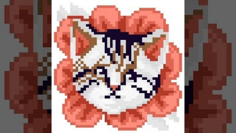 Котик цветочек
