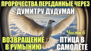 Пророчества, переданные через Думитру Дудуман. Часть 6. ВОЗВРАЩЕНИЕ В РУМЫНИЮ. ПТИЦА В САМОЛЁТЕ.