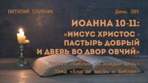 День 301. Иоанна 10-11: Иисус Христос - пастырь добрый и дверь во двор овчий | Библия на каждый день