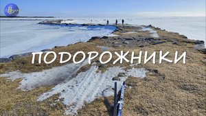 ПОДОРОЖНИКИ