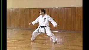 Karate - Yoko Geri Keage - How to do proper Side Snap Kick