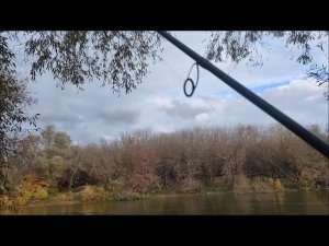 Рыбалка на реке Воронеж, г.Воронеж, 12.10.2025 года